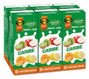 AYALA FRUTA+LECHE CARIBE P-6X200ML. (089)